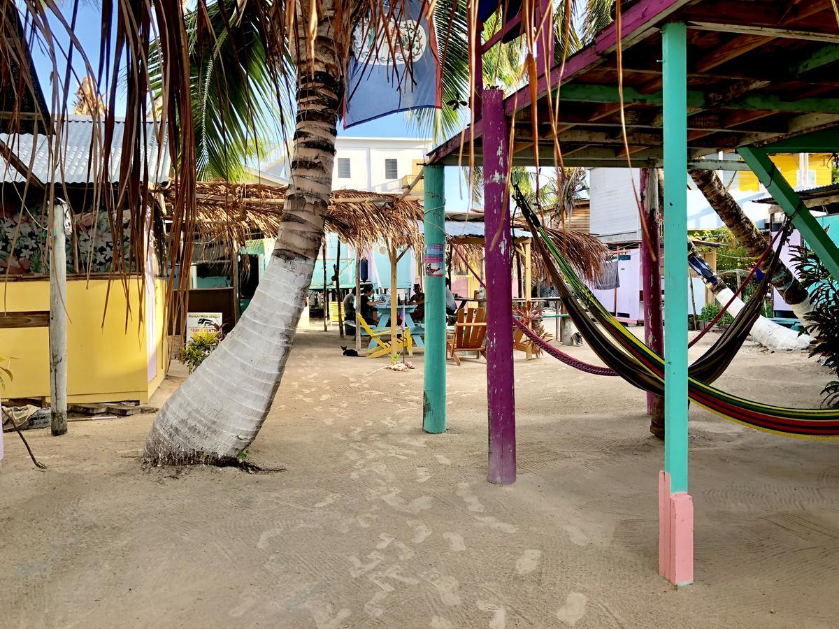 הוסטל Caye Corker Tropical Oasis מראה חיצוני תמונה