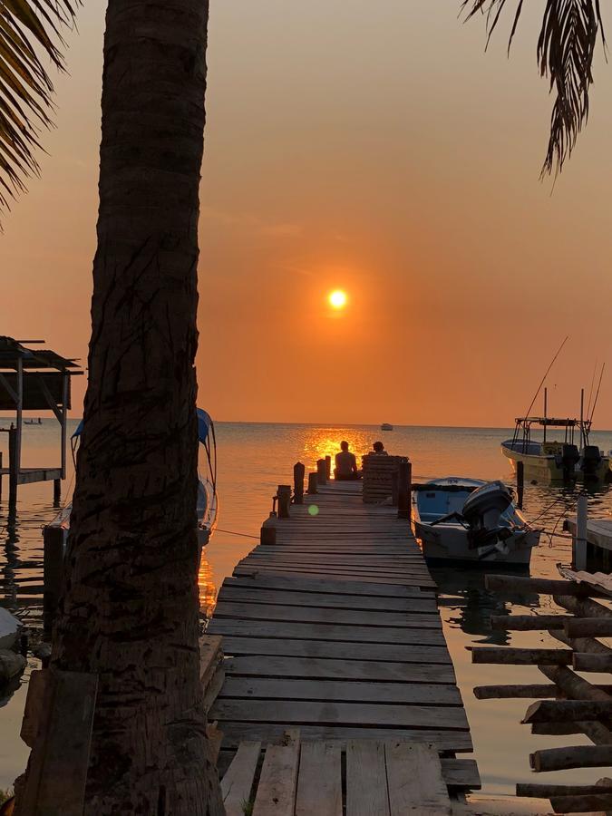 הוסטל Caye Corker Tropical Oasis מראה חיצוני תמונה